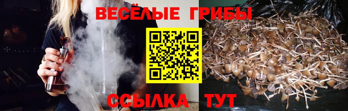 Галлюциногенные грибы прущие грибы Асбест